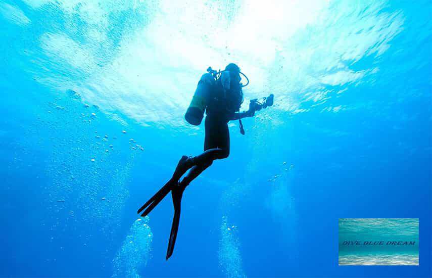 Scuba Diving - Dive Blue Dream