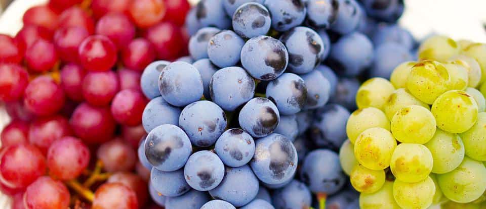 Σταφύλια - Τα φρούτα υγείας του καλοκαιριού